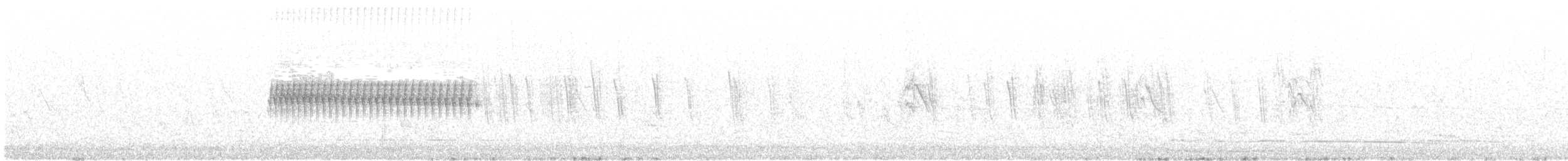 Юнко сірий [група oreganus] - ML99658791