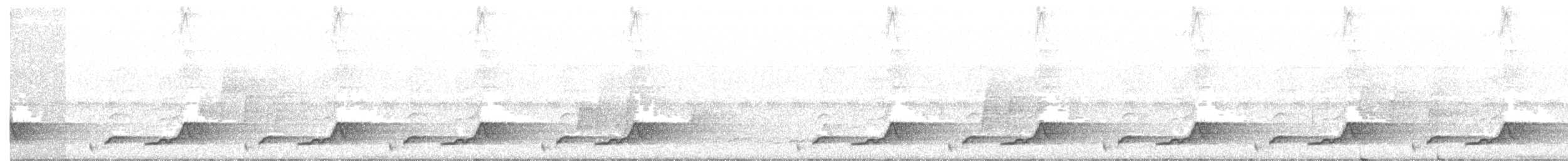 Schwarzkehl-Nachtschwalbe - ML99738961