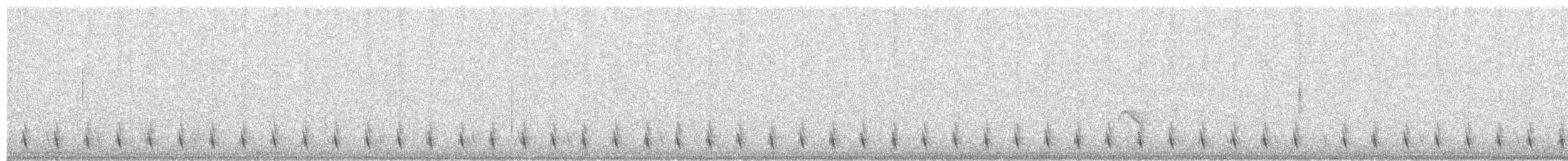 Blackish Tapaculo - ML99755831