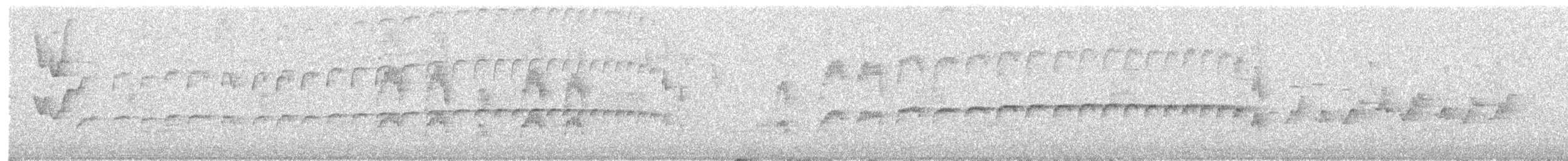 Barred Becard - ML99755931
