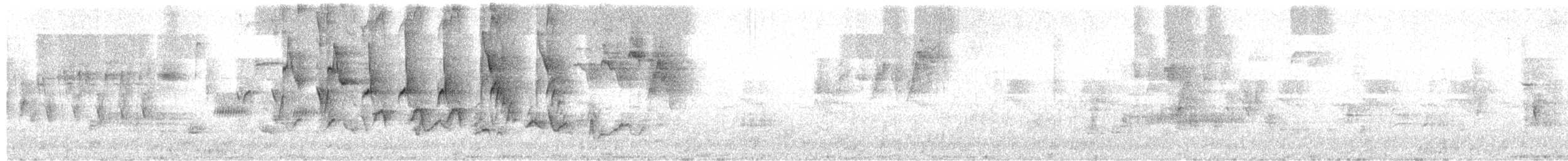 Indigo Bunting - ML99778031