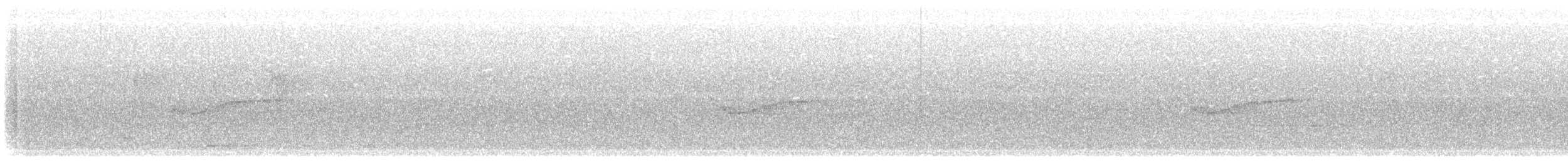 Eastern Wood-Pewee - ML99802941