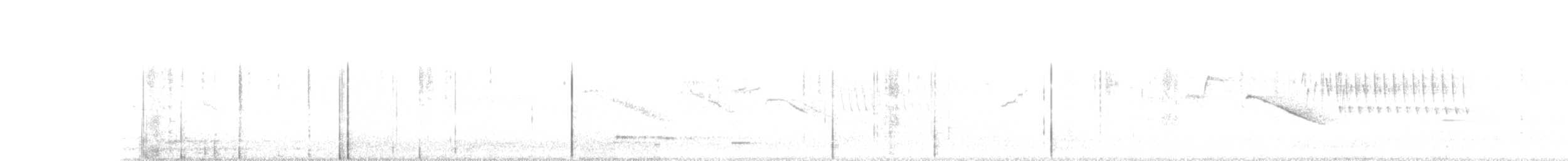 Percefleur noir - ML99872241