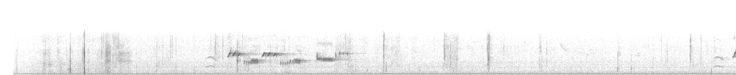 Eastern Orphean Warbler - ML99906521