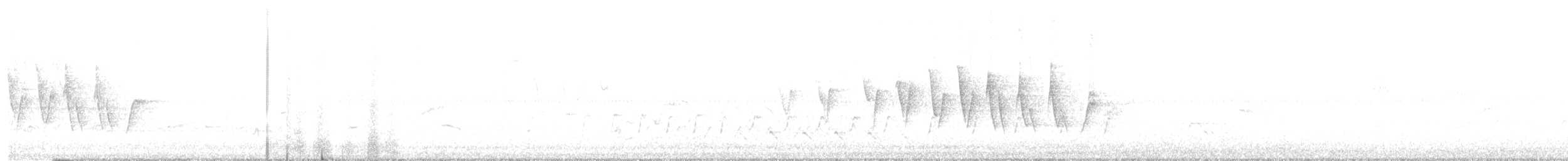 Northern Waterthrush - ML99918941