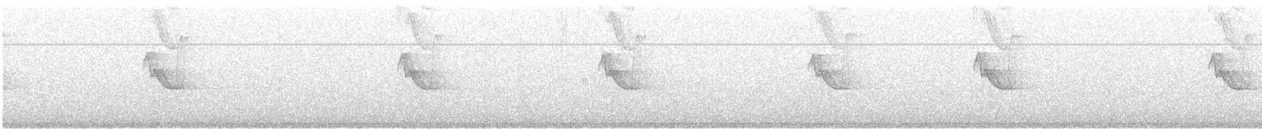 Swallow-tailed Hummingbird - ML99937611