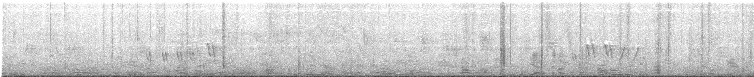 brannfeltparula - ML99943161