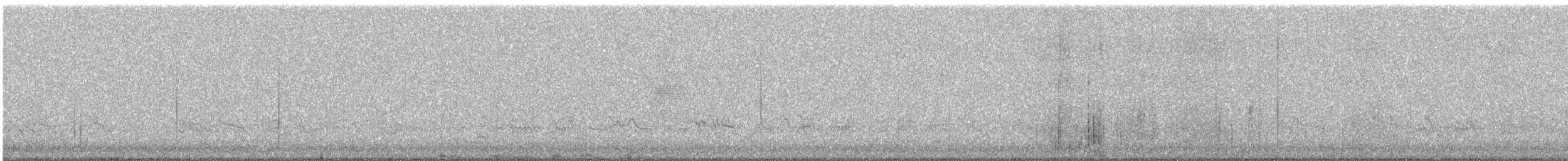 American Woodcock - ML99999211